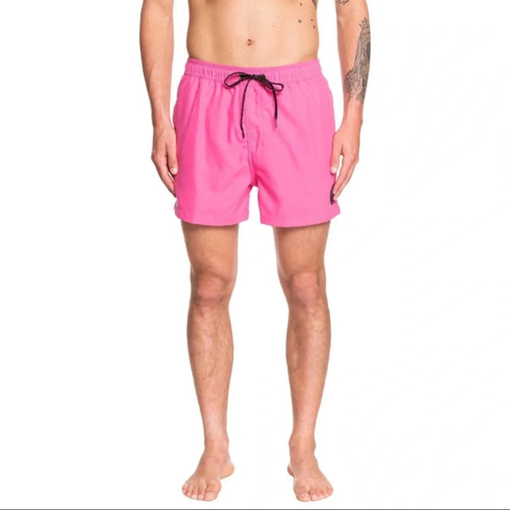 Quiksilver Everyday Volley Boardshorts - Picture 2 of 4